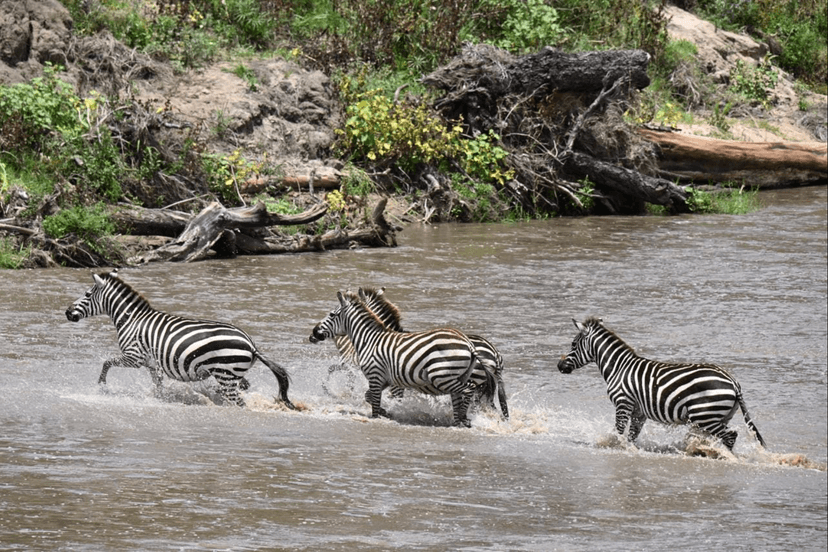 The impermanence of change